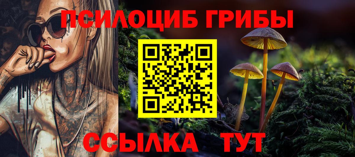 Псилоцибиновые грибы мицелий  Вход с VPN  Псилоцибиновые грибы мицелий  Казань 